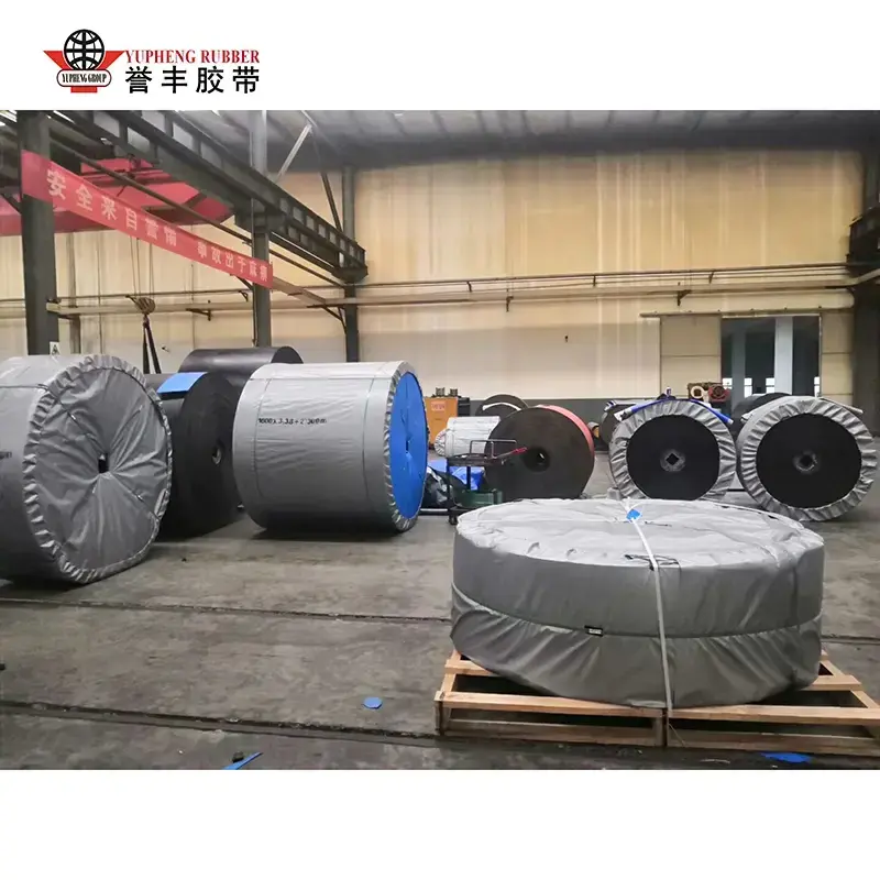 Crios Conveyor Frithsheasmhach in Abrasion