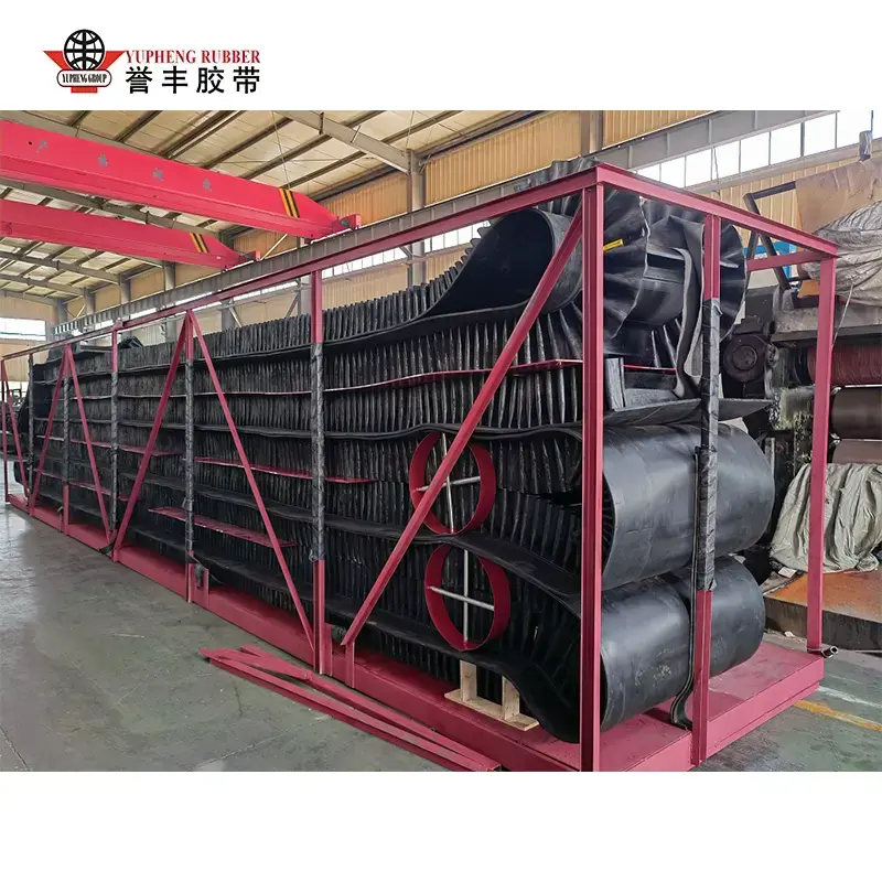 Crios Conveyor Sidewall roctha
