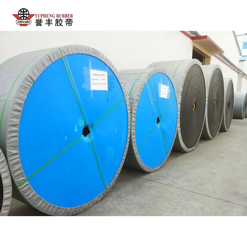 Crios Conveyor Frithsheasmhach in Lasair